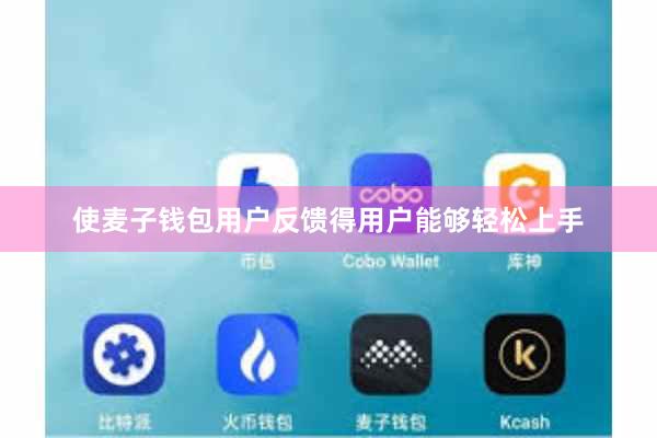 使麦子钱包用户反馈得用户能够轻松上手