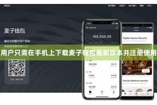 用户只需在手机上下载麦子钱包最新版本并注册使用
