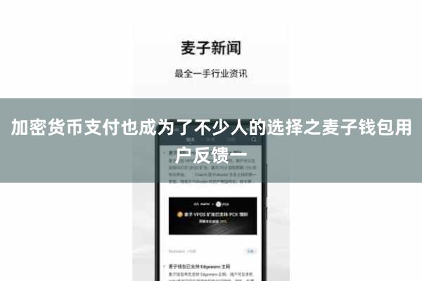 加密货币支付也成为了不少人的选择之麦子钱包用户反馈一