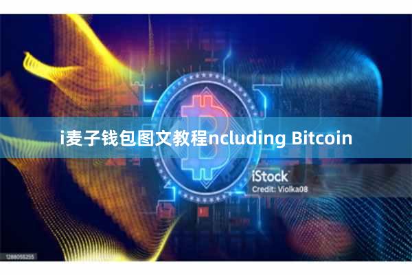 i麦子钱包图文教程ncluding Bitcoin